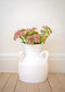 Sereni Pot